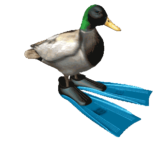 Spinning Duck to signify nothing for sale
